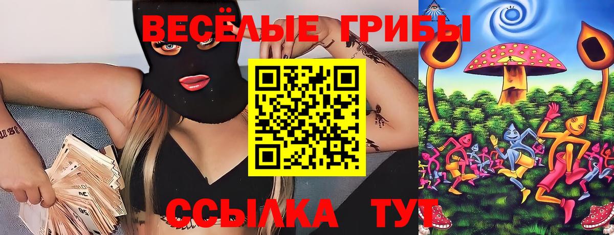Галлюциногенные грибы Cubensis  Псилоцибиновые грибы мицелий  Тайшет  Вход с VPN 