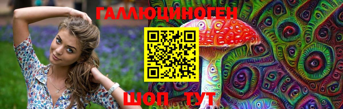 Псилоцибиновые грибы мицелий Тайшет