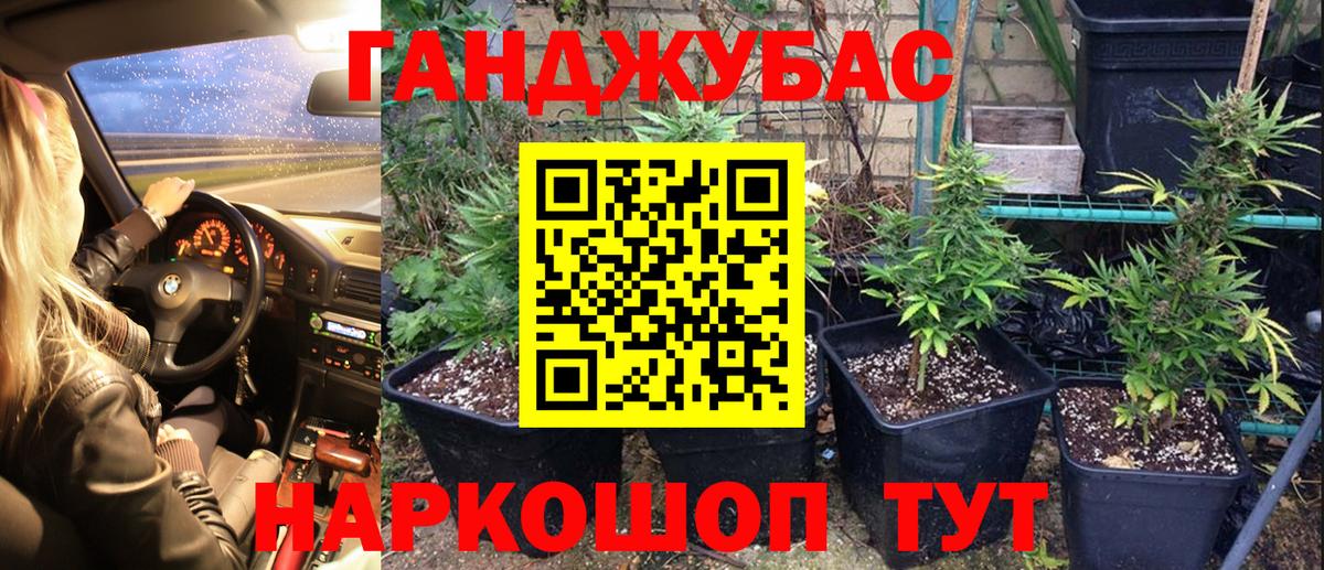 Бошки марихуана White Widow Тайшет