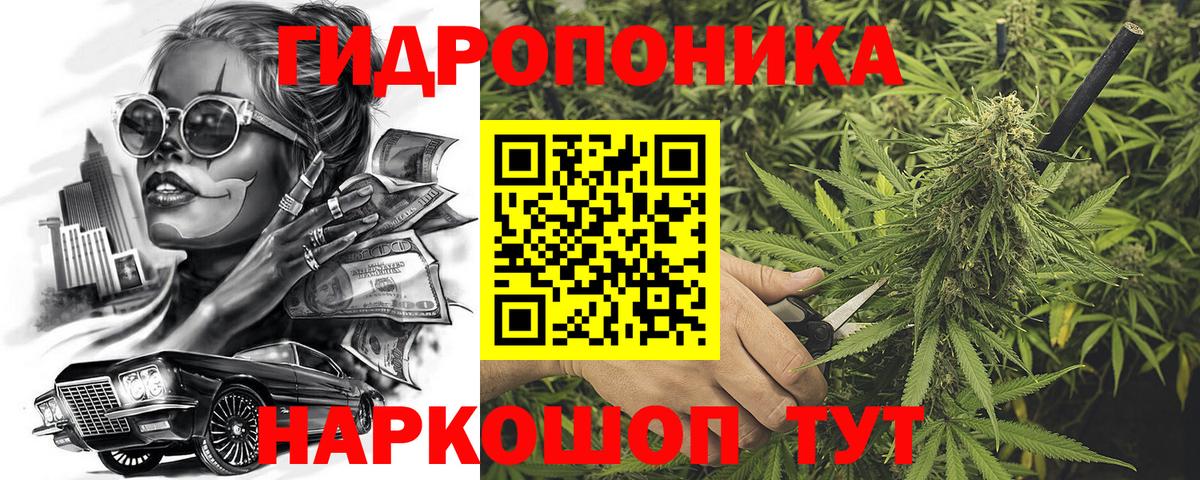 Канабис AK-47  Конопля ГИДРОПОН  Шишки марихуана OG Kush  Вход с VPN  Тайшет 
